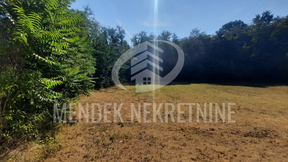 Land, 15000 m2, For Sale, Žminj